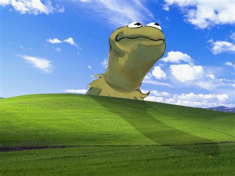 Laugh Out Loud: The Funniest Wallpaper Memes for Your Screen