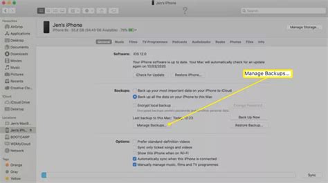Mastering iPhone Backup Management: A Comprehensive Guide