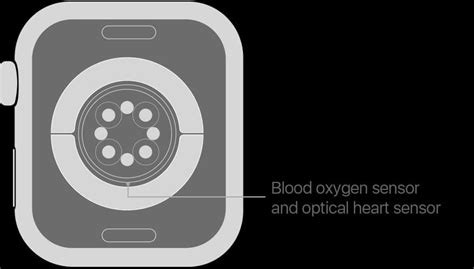 Unveiling iPhone's Health Capabilities: Does it Include an Oxygen Sensor?