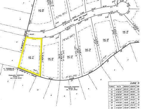 Essential Guide to Land Survey Maps: Understanding Your Property's Blueprint