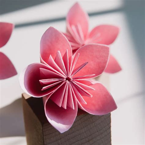 Master the Art: How to Fold a Beautiful Paper Flower (Step-by-Step Guide)