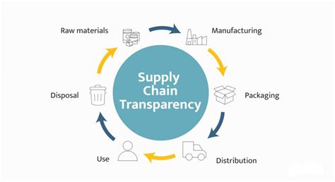 Unlocking Supply Chain Transparency: A Practical Roadmap