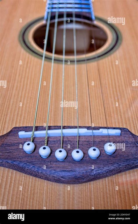 Mastering Acoustic Principles: Your Comprehensive Sound Tutorial
