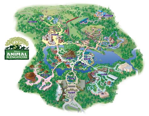 Exploring the Diverse Realms of the Animal Kingdom
