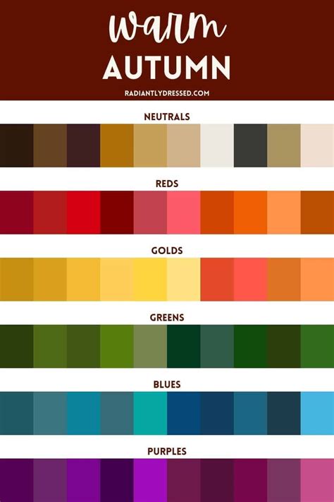 Capturing the Vibrant Beauty of Autumn's Colors and Seasonal Transformations