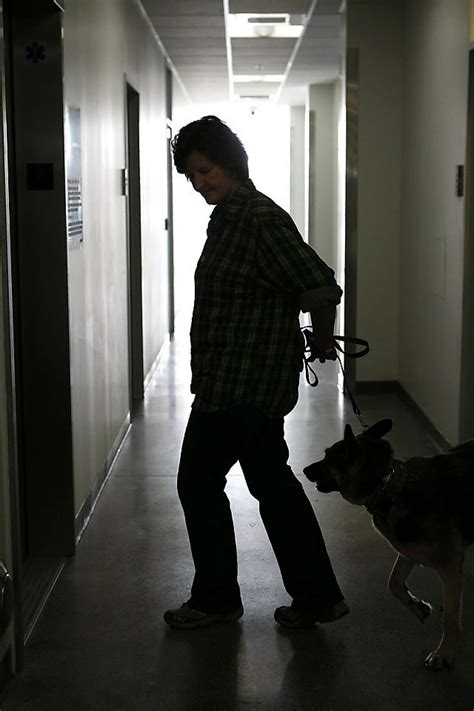 Berkeley Animal Shelter: Compassionate Care & Pet Adoptions