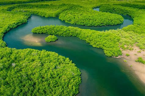 Exploring the Vast Landscapes of Brazil: A Geographic Overview