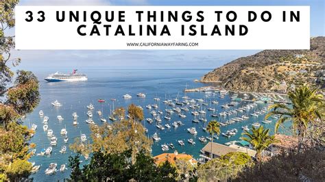 Uncovering macOS Catalina: Your Guide to Finding and Installing This Classic OS