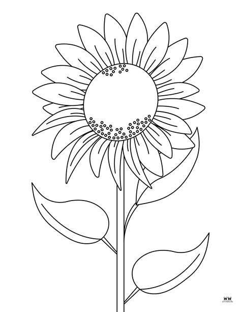Unleashing Creativity: The Therapeutic Joy of Coloring Book Pages