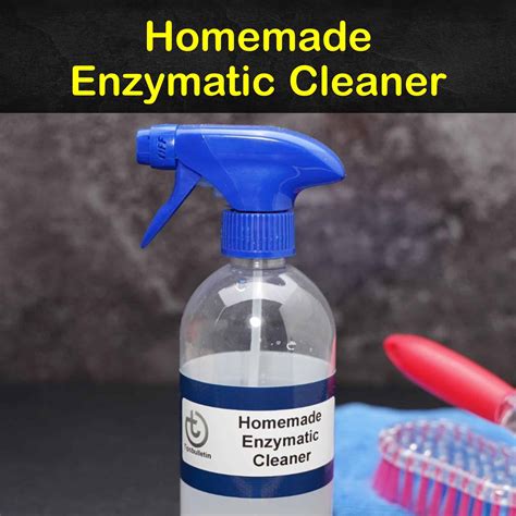 Your Ultimate Guide: Where to Find the Best Enzymatic Cleaners for a Pristine Home