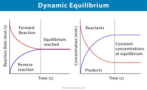Achieving Balance: A Deep Dive into Finding Your Personal Equilibrium