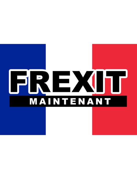 Understanding Frexit: The Path to France's EU Departure