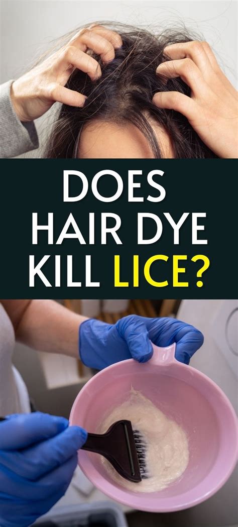 Does Hair Color Kill Head Lice? Uncovering the Truth