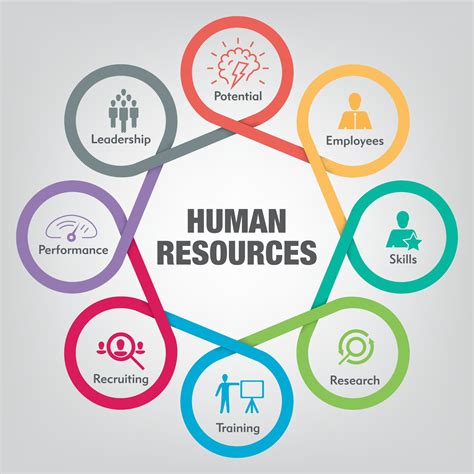 Crafting a Winning Cover Letter for Human Resources Jobs