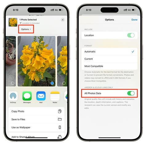 Unlocking Professional Photography: Does iPhone 13 Shoot RAW?