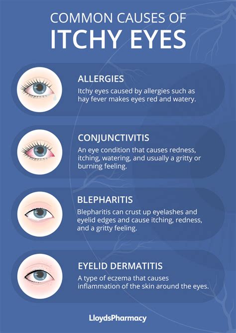 Soothing Relief: Effective Ways to Calm Itchy Eyes