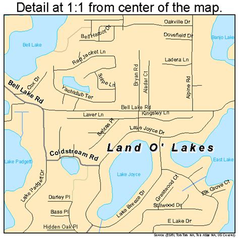 Unveiling Land O'Lakes, Florida: Your Essential Map Guide