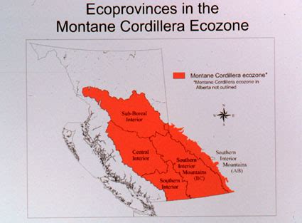 Explore the Montane Cordillera: A Comprehensive Geographic Map