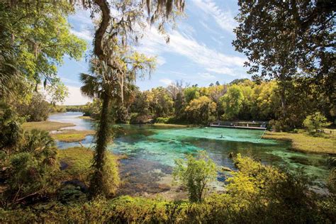 Unveiling Nature's Splendor: Your Guide to Northwest Florida State Parks
