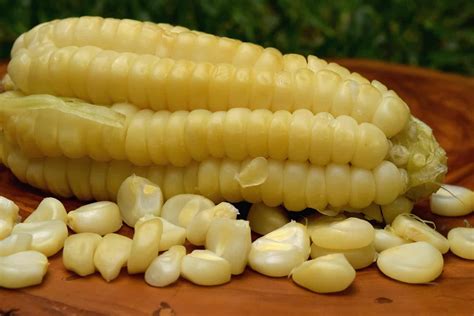 Discovering the Best Places to Buy Peruvian Corn for Authentic Flavors