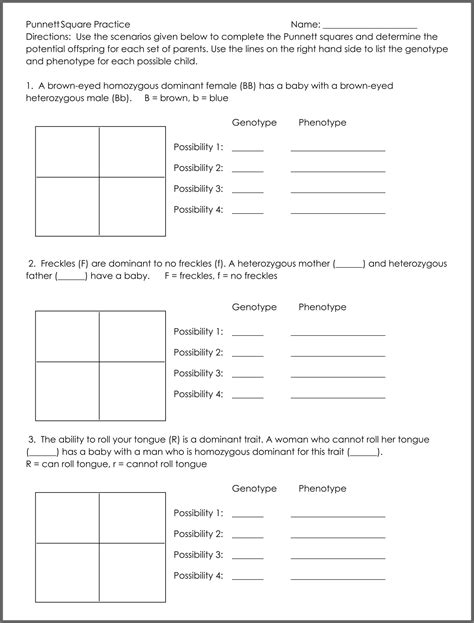 Free Printable Punnett Square Worksheets & Templates for Genetics