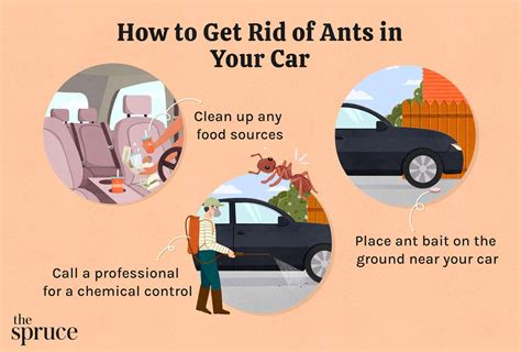 How to Effectively Rid Your Car of Ants: A Comprehensive Guide