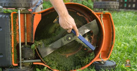Achieve a Pristine Lawn: Mastering Mower Blade Sharpening for Optimal Performance