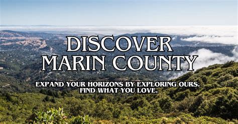 Driving the Future: Tesla's Impact and Presence in Marin County