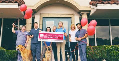 The Drake Center: Compassionate Veterinary Care for Pets