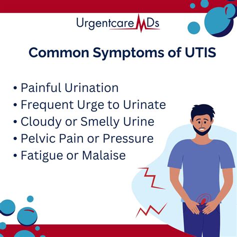 Effective Strategies to Treat and Prevent UTIs: A Comprehensive Guide