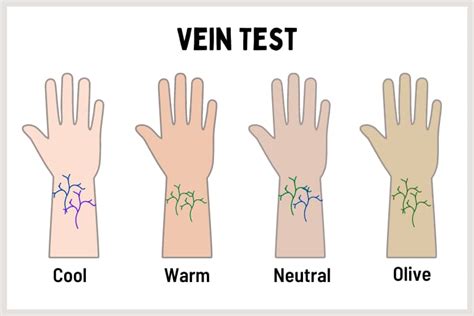 Unlocking Your True Colors: The Secret of Vein Color Undertones