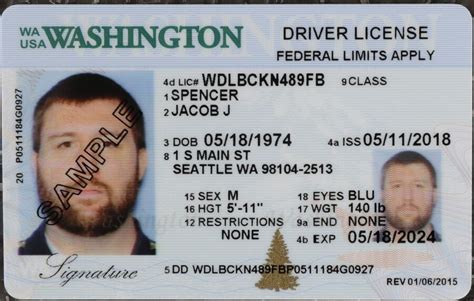 Navigating Washington State Licenses: Your Path to Opportunity