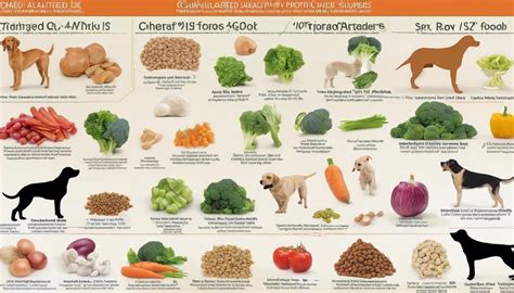 Understanding Animal Diets: Where Different Species Find Their Food