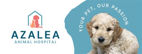 Compassionate Care for Your Beloved Pets: Azalea Lakes Animal Hospital