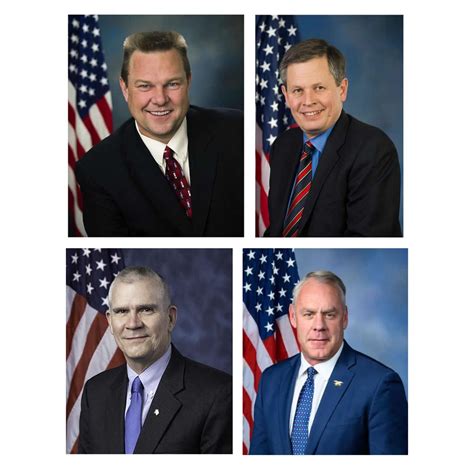Understanding the Path to Congress: How Representatives Are Elected and Serve