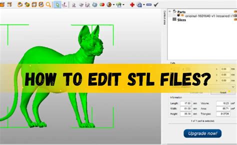 Unlock Your 3D Printing Potential: Master STL File Editing