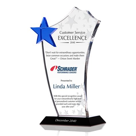 Excellence in Service Award: Recognizing Outstanding Achievement