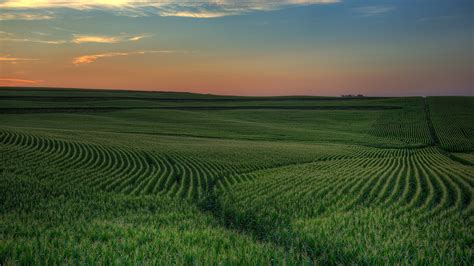 Exploring the Diverse Fields of Opportunity Across the USA