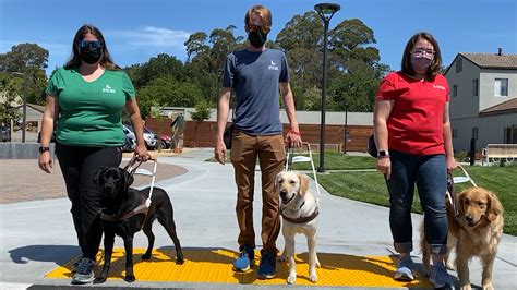 Contacting Guide Dogs for the Blind: Important Phone Numbers and Support Information