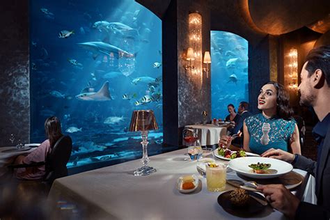 Indulge in Culinary Excellence: Discovering the Restaurants of Atlantis Dubai