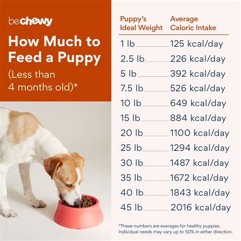 Puppy Kibble Feeding Guide: How Much to Feed Your Growing Friend