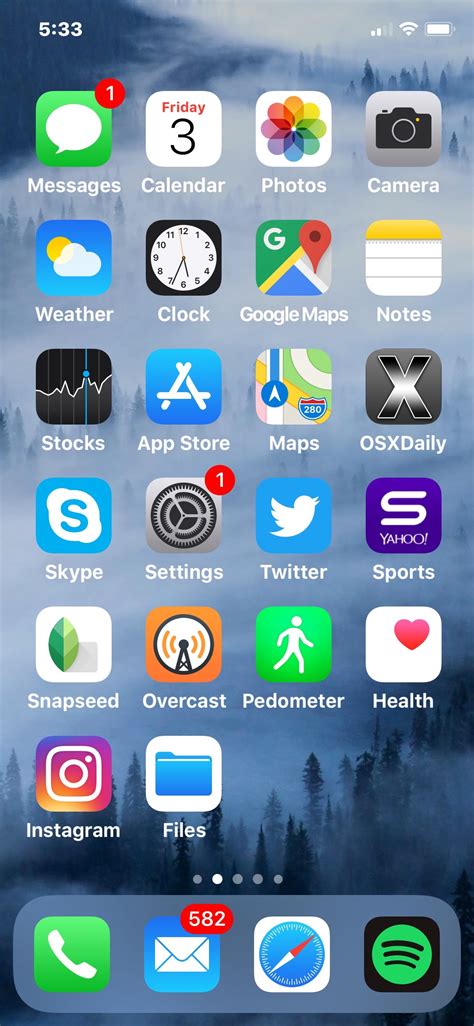 Capturing Your Screen: How to Take a Screenshot on iPhone X