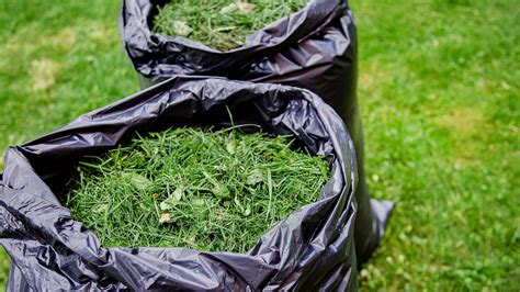 Eco-Friendly Lawn Clippings Disposal: Your Complete Guide