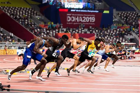 Exploring the Athletic Marvels: A Comprehensive Guide to Olympic Sports