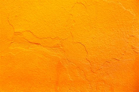 Vibrant Orange Hues: A Collection of Stunning Pictures