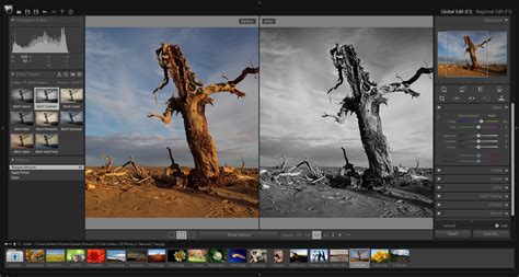 Best Free Photography Editing Software Downloads