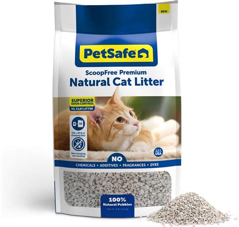 Finding the Best Scent-Free Kitty Litter for a Fresher Home