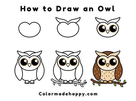Learn to Draw a Simple Owl: Easy Step-by-Step Guide for Beginners