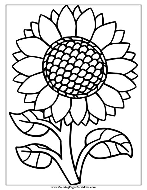 Printable Sunflower Coloring Pages for All Ages
