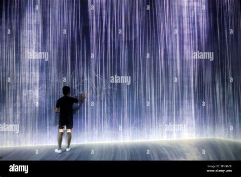 TeamLab USA: Discovering Immersive Digital Art Experiences